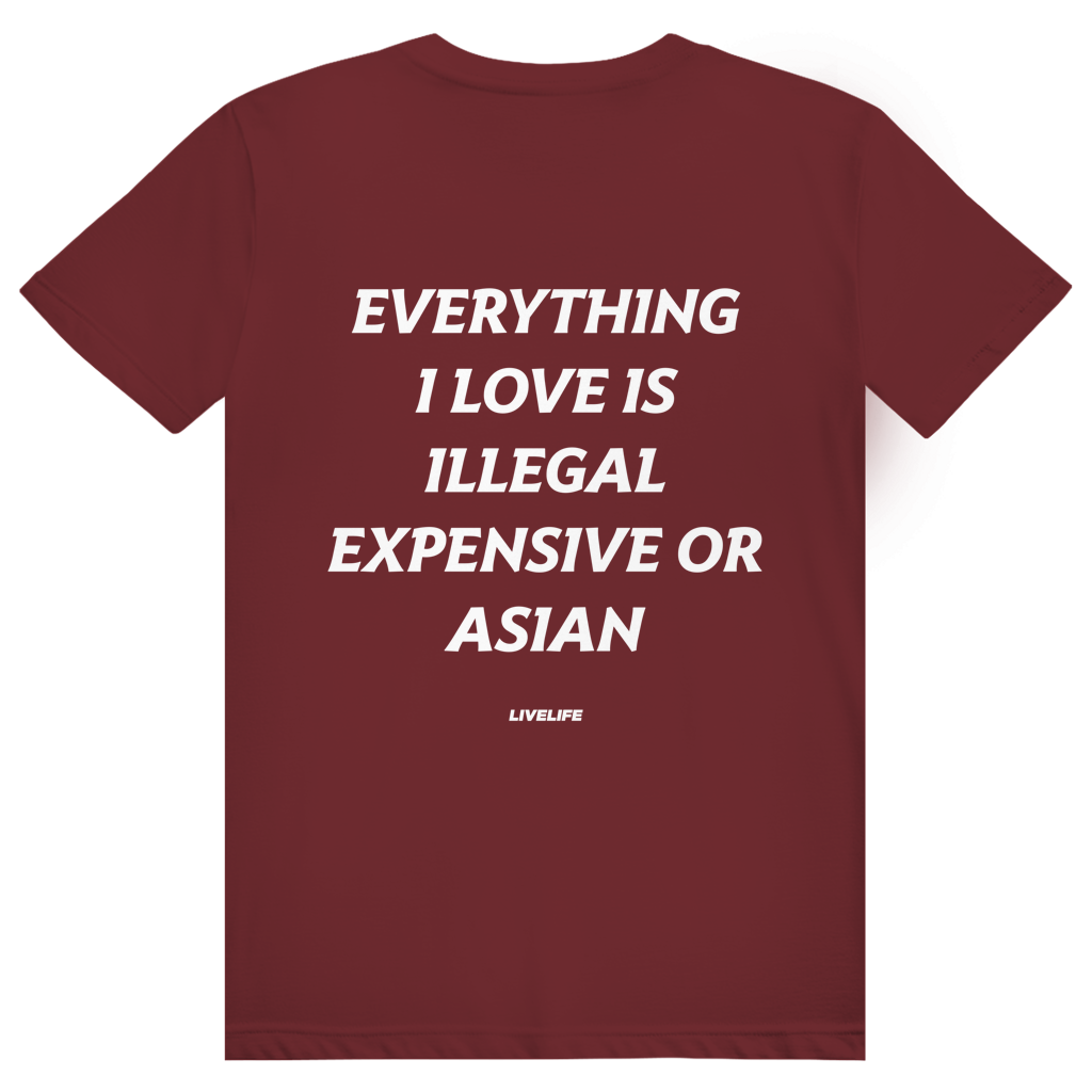 Everything I Love Is Illegal Expensive Or Asian - Freches Dating Meme Statement - Premium Bio Unisex (Rückendruck) T-Shirt