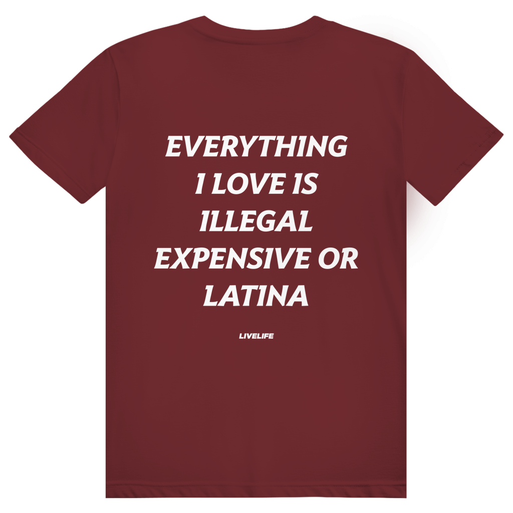 Everything I Love Is Illegal Expensive Or Latina - Freches Dating Meme Statement - Premium Bio Unisex (Rückendruck) T-Shirt